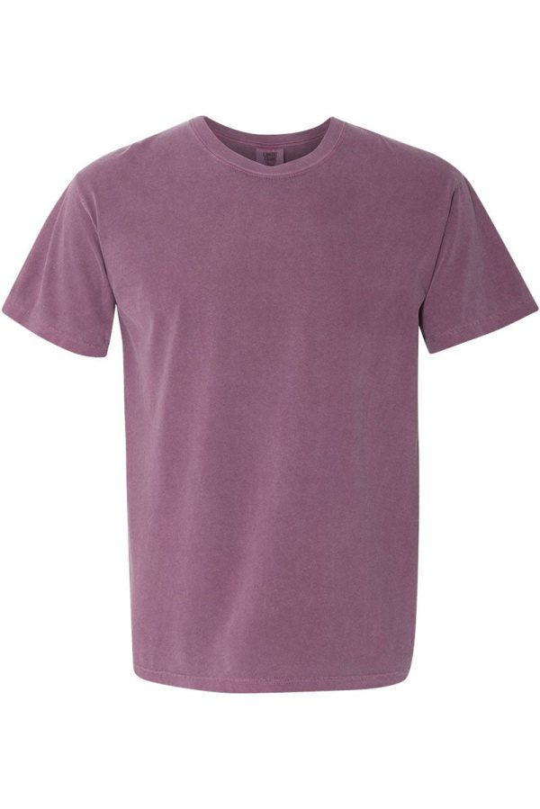 Bright Panthers Colorful Comfort Colors Adult Ring-Spun Cotton Tee For Cheap - Image 3